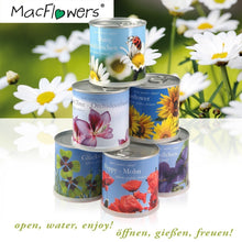Carica l'immagine nel visualizzatore di Gallery, Extragifts Fiori in lattina - Viola viola - Ilgrandebazar
