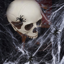 Carica l'immagine nel visualizzatore di Gallery, 6