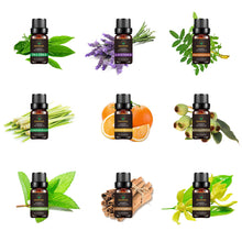 Carica l'immagine nel visualizzatore di Gallery, Oli essenziali set TOP9 Besstoil terapeutico grade Aromaterapia 100% puro... - Ilgrandebazar