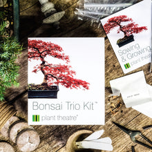 Carica l'immagine nel visualizzatore di Gallery, Plant Theatre - Bonsai Trio, Kit per la Coltivazione di 3