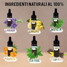 Carica l'immagine nel visualizzatore di Gallery, Oli Essenziali Per Diffusori 6x10ML Qualità Made In Italy, Kit Olii 1 PACK - Ilgrandebazar