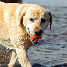 Carica l'immagine nel visualizzatore di Gallery, Palla in gomma resistente e durevole per giochi cane Taglia M Chuckit Ultra Ball